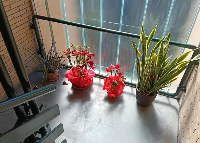 Yana Apartamento Roma